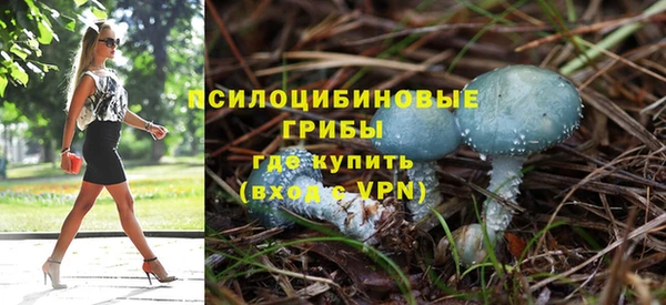 эйфоретик Зеленокумск
