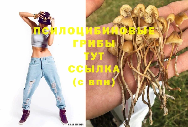 эйфоретик Зеленокумск