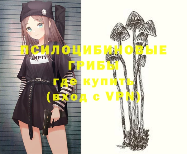 эйфоретик Зеленокумск