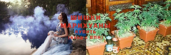 mdpv Инсар