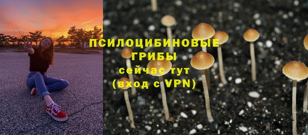эйфоретик Зеленокумск